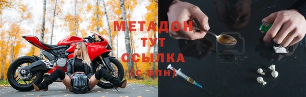 PSILOCYBIN Бородино