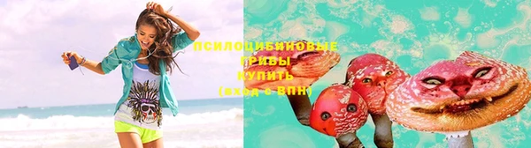 spice Бронницы