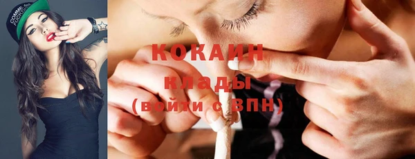 скорость Болотное