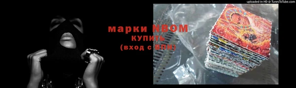 скорость Болотное