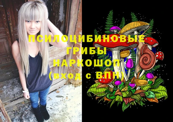 spice Бронницы