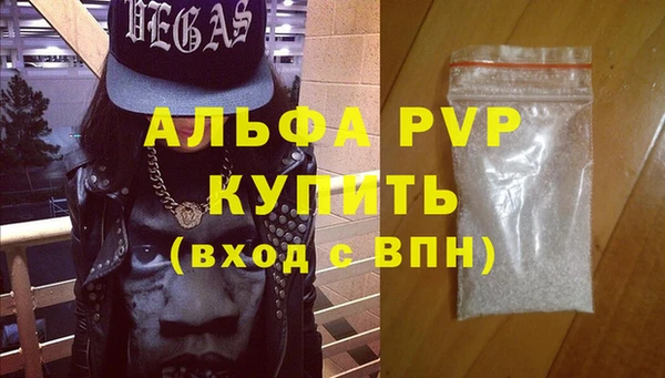 стафф Богданович