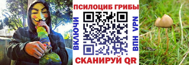 Псилоцибиновые грибы Cubensis  где купить наркотик  Верещагино 